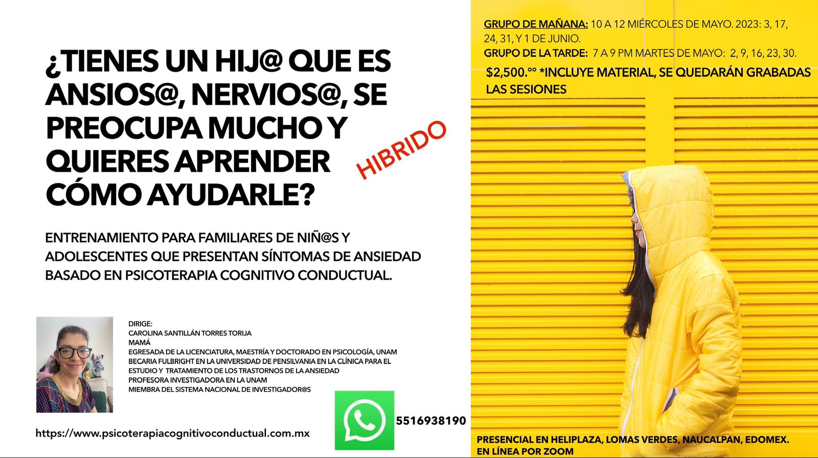 Psicoterapia Dra. Carolina Santillán Torres Torija