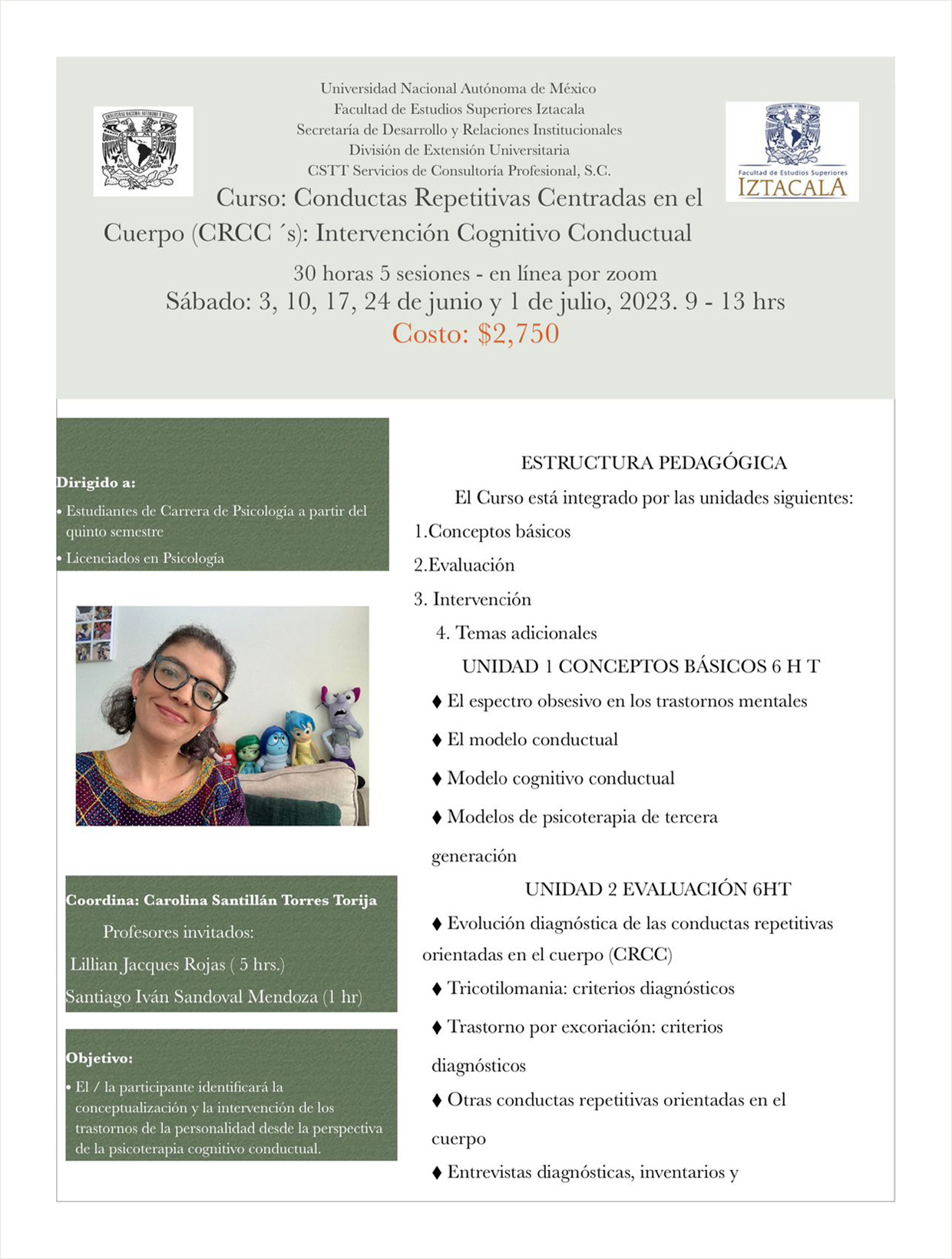 Psicoterapia Dra. Carolina Santillán Torres Torija